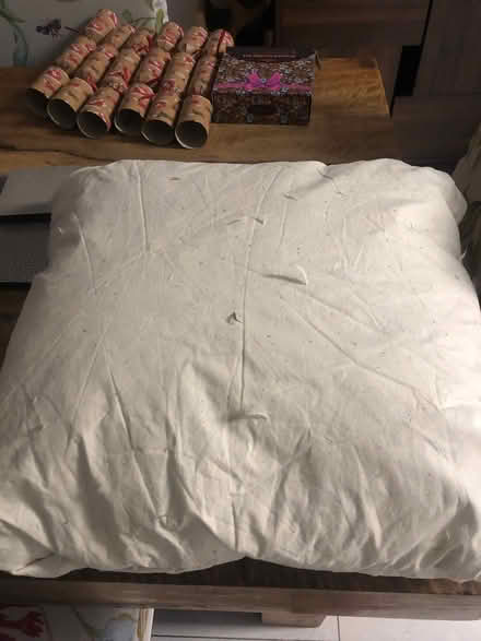 Photo of free Feather cushion (Egerton Park CH42) #1
