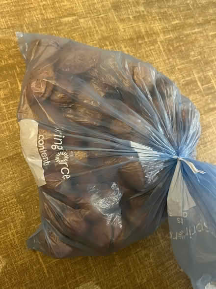 Photo of free Mixed nuts with shells (Headington Quarry, OX3) #1