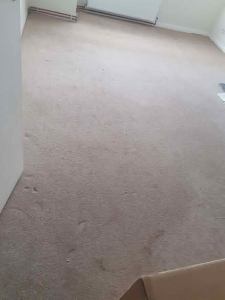 Photo of free Carpet and underlay - room sizes (East Blatchington BN25) #2