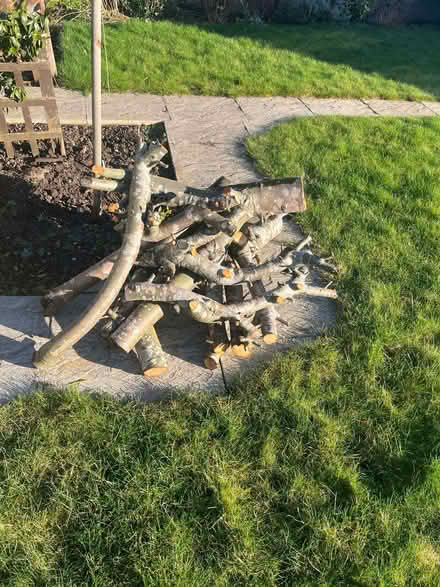 Photo of free Apple tree wood, for log burner (Barnard's Green WR14) #2