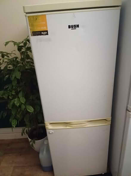 Photo of free Fridge Freezer (Lazonby CA10) #1