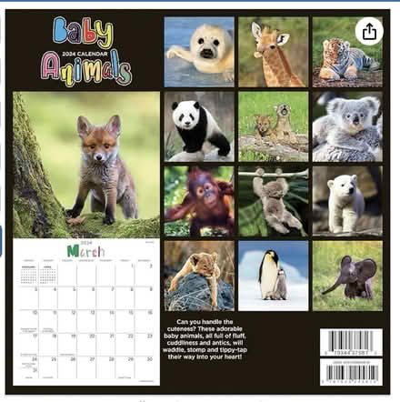 Photo of free Baby Animal Photos (San Anselmo, near the "hub") #1