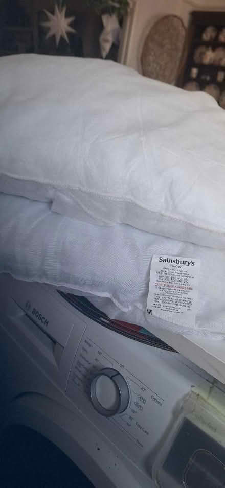 Photo of free Pillow (Streatham SW16) #2