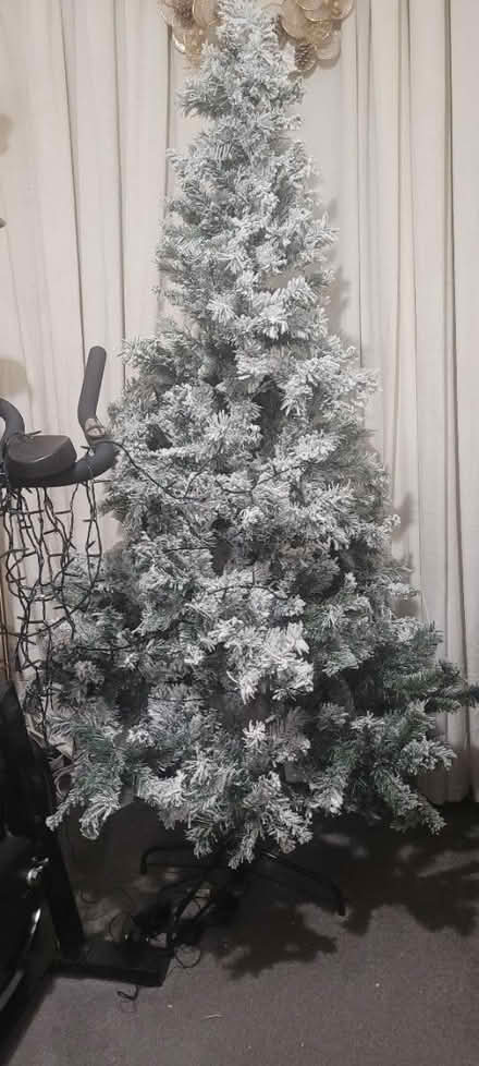 Photo of free Frosted 6ft xmas tree (E16) #1