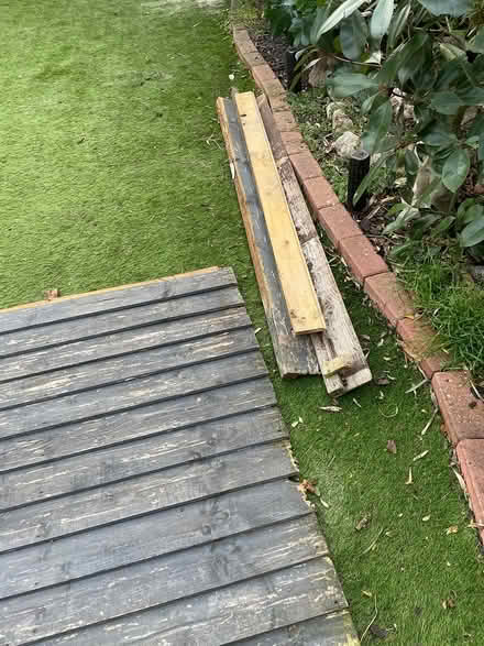 Photo of free 6’ fence panel (Newlands) #4