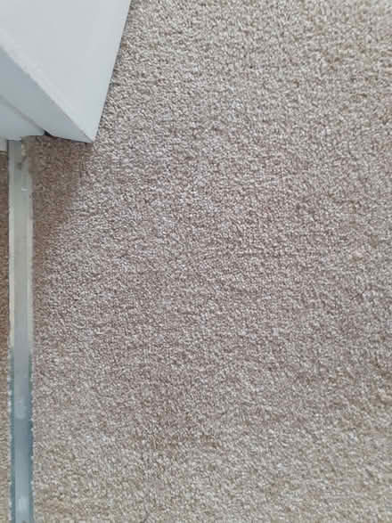 Photo of free Carpet and underlay - room sizes (East Blatchington BN25) #1