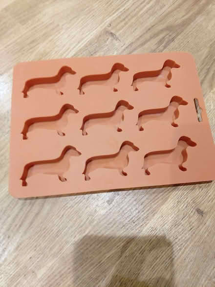 Photo of free Daschund ice cube tray (Clayton-le-Woods PR5) #1