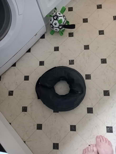 Photo of free Inflatable neck collar (Downhead Park MK15) #1