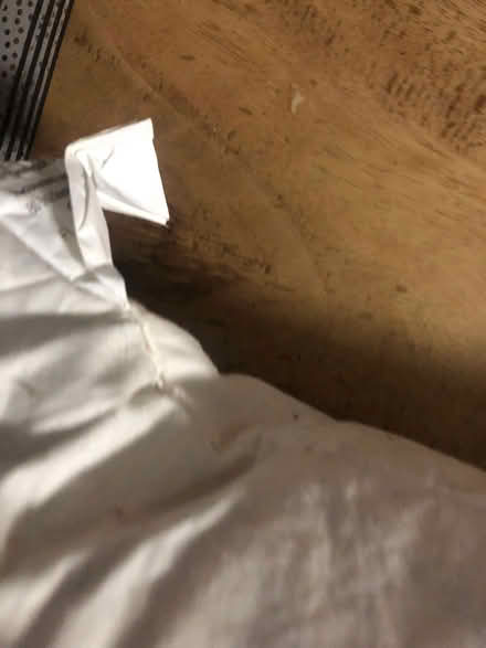 Photo of free Feather cushion (Egerton Park CH42) #2