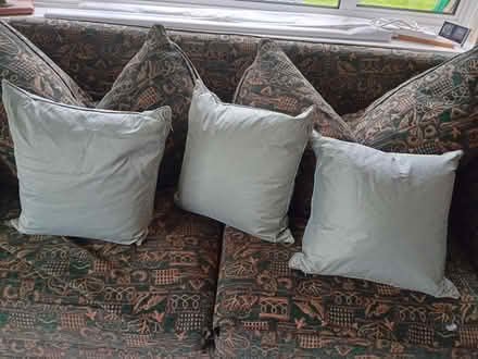Photo of free 3 square cushions 45 x 45cm (Hedgerley SL2) #1