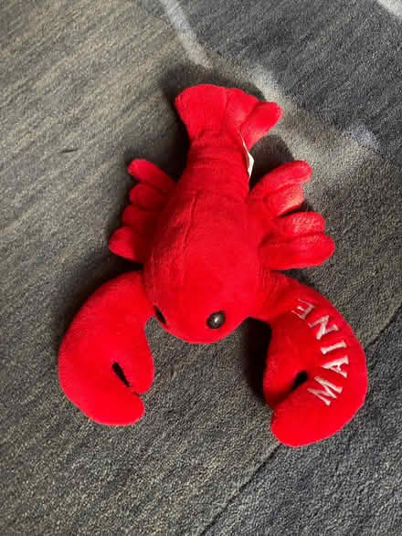 Photo of free Lobster stuffed doll (Mt. Pleasant DC) #1