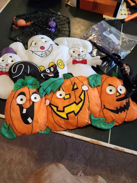 Photo of free Indoor Halloween stuff (Friendswood) #1