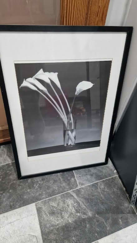 Photo of free Large picture and frame (ME7) #1