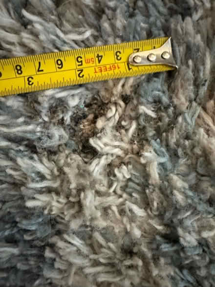 Photo of free Next rug 170cm by 120cm (Bootle) #3