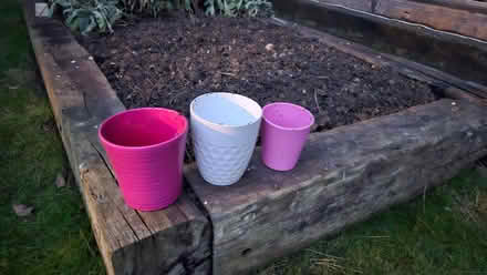 Photo of free Indoor plant pots. Collect Middle Barton. (Steeple Barton OX7) #1