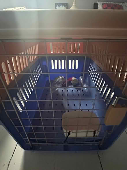 Photo of free Cat carrier/shipping crate (Penge BR3) #3