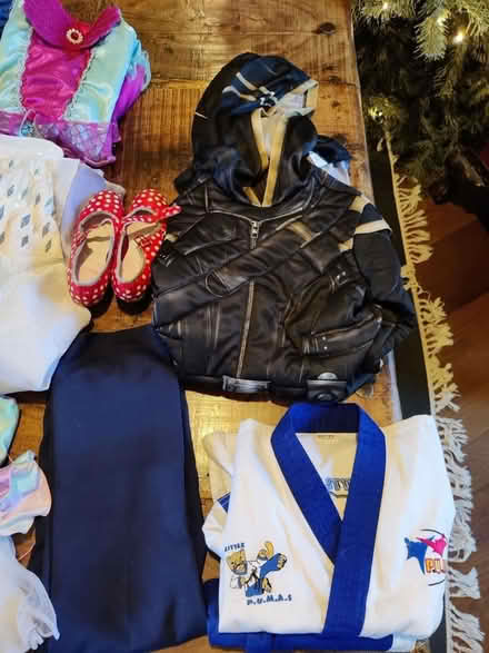 Photo of free Girls Frozen/Disney Dressing Up (Spring Road, Abingdon, OX14) #2