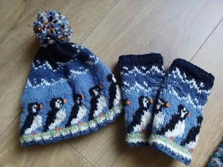 Photo of free Hat and fingerless mitt (Sale M33) #1