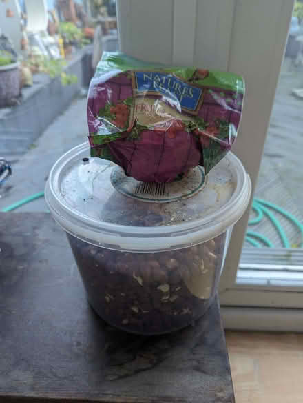 Photo of free Bird food (Dyke Road area BN1) #1
