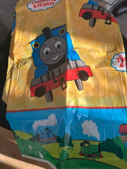 Photo of free Party table cover (N14 4TP oakwood) #2