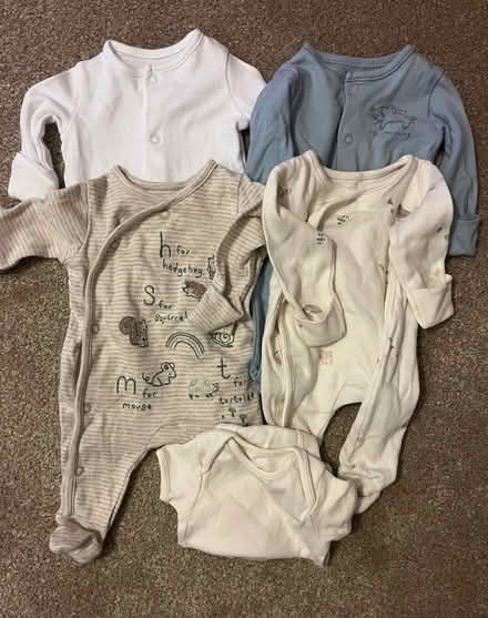 Photo of free 6lb small baby grows (HP1) #1