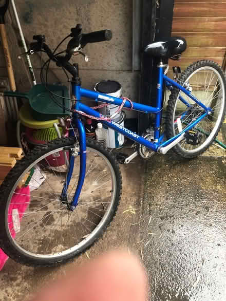 Photo of free Ladies Bicycle (Great Sutton CH66) #1