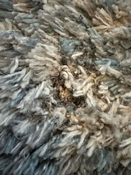 Photo of free Next rug 170cm by 120cm (Bootle) #4