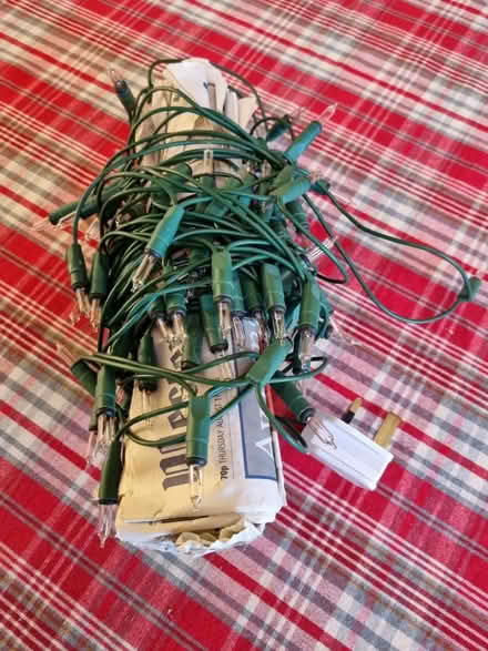 Photo of free Christmas lights (Abingdon OX14) #2
