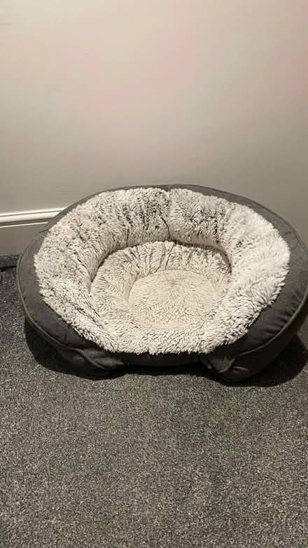 Photo of free Medium size pet bed (Witney OX28) #1