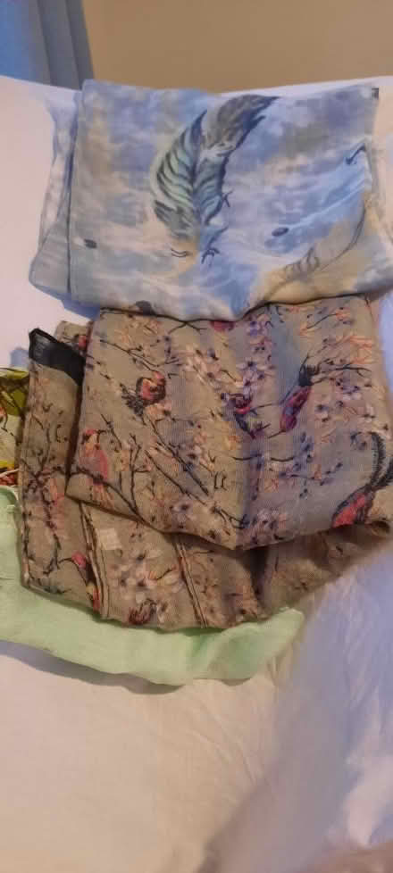 Photo of free 3 x scarves (Hereford, Belmont) #2
