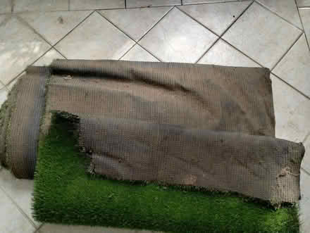 Photo of free Astro Turf (Hunters Hill, NSW) #2