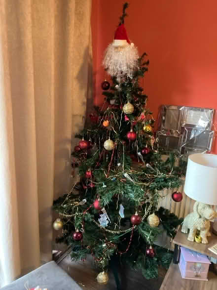 Photo of free 4’ Christmas Tree (Mansfield Woodhouse NG19) #2