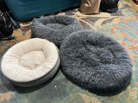 Photo of free 3 Small Pet Beds (Montlake (98112)) #1