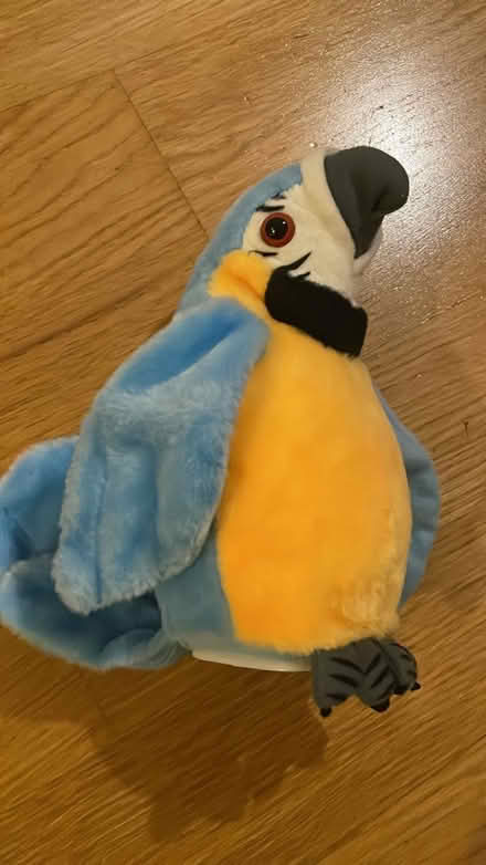 Photo of free Toy parrot can speak (EC1V Angel) #1