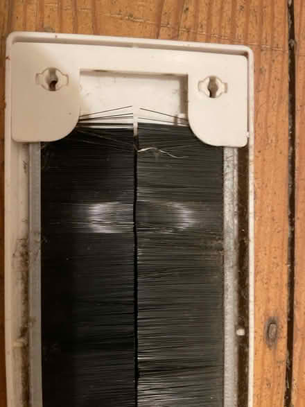 Photo of free Internal Letter box cover (Orpington, BR6) #3