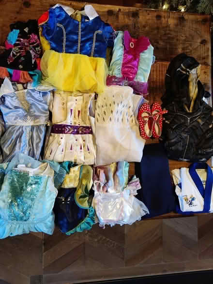 Photo of free Girls Frozen/Disney Dressing Up (Spring Road, Abingdon, OX14) #1