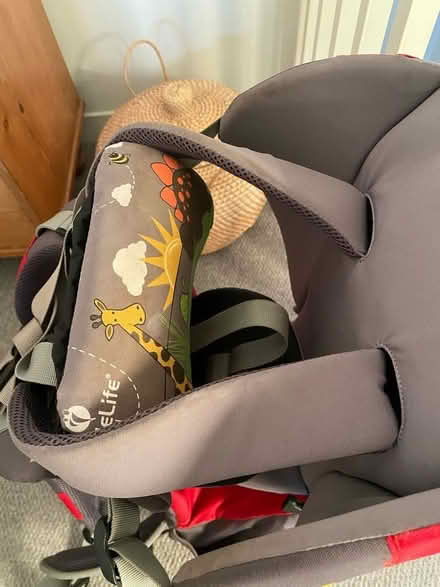 Photo of free Child carrier for hikes (Lewes BN7) #3