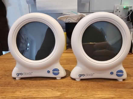 Photo of free 2 x GroClock / Ollie the Owl (DA7 Barnehurst) #1