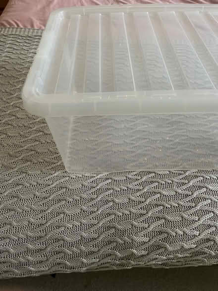 Photo of free 45L storage box (SW11) #2