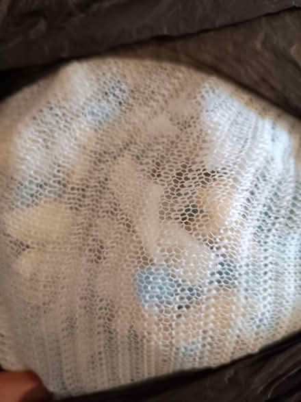 Photo of free Cushion/upholstery foam filling (Wantage OX12) #2