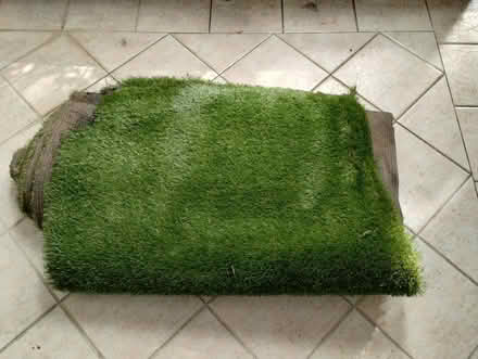 Photo of free Astro Turf (Hunters Hill, NSW) #1