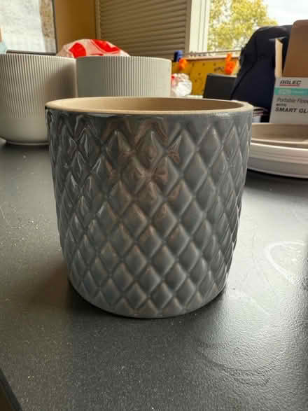 Photo of free 4 x ceramic plant pots (Pyrmont) #3