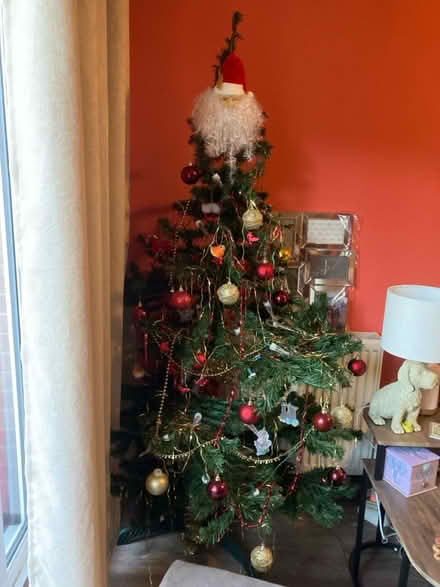 Photo of free 4’ Christmas Tree (Mansfield Woodhouse NG19) #1