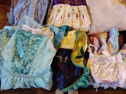 Photo of free Girls Frozen/Disney Dressing Up (Spring Road, Abingdon, OX14) #3