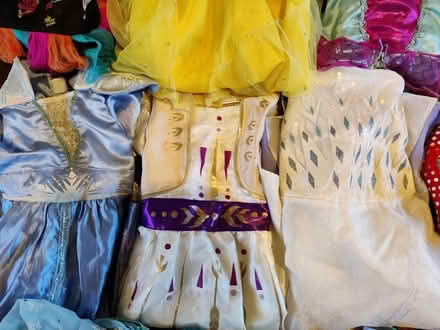 Photo of free Girls Frozen/Disney Dressing Up (Spring Road, Abingdon, OX14) #4