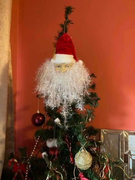 Photo of free 4’ Christmas Tree (Mansfield Woodhouse NG19) #3