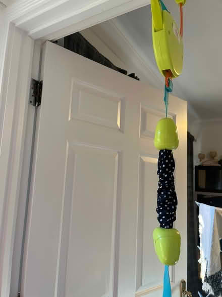 Photo of free Bright Starts: Door Jumper/Bouncer (BR3) #2