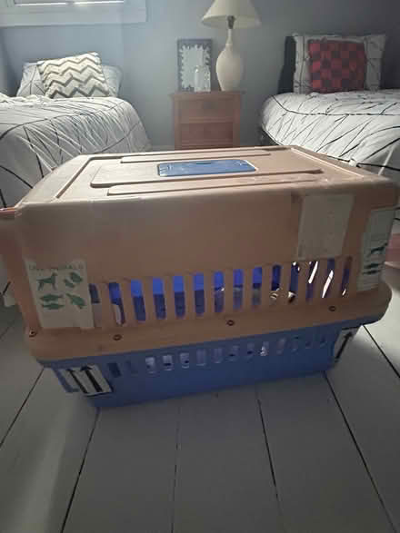 Photo of free Cat carrier/shipping crate (Penge BR3) #2