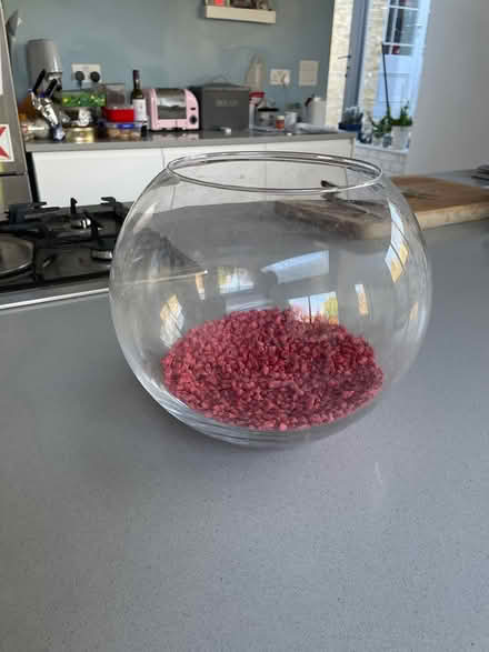 Photo of free Goldfish bowl plus pebbles (N16 Clissold) #1