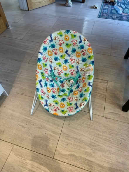 Photo of free Baby bouncer (BR3) #1
